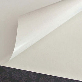 Jac Adhesive Paper Sheet (Clear Core)