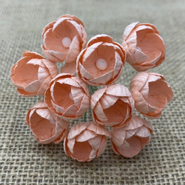 Buttercups - Peach (10pk)