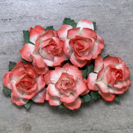 Cottage Roses - 2 Tone Coral Orange/White 25mm (5pk)