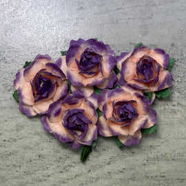 Cottage Roses - 2 Tone Purple/Peach 25mm (5pk)
