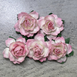 Cottage Roses - 2 Tone Pink Mist