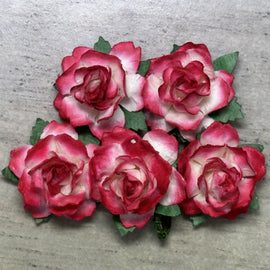 Cottage Roses - 2 Tone Red/White 25mm (5pk)