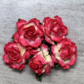 Cottage Roses - 2 Tone Strawberry Red/Cream 25mm (5pk)