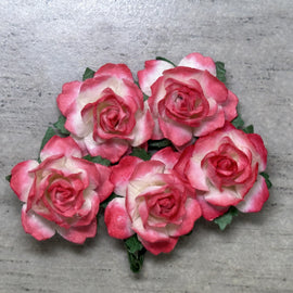 Cottage Roses - 2 Tone Strawberry Red/White 25mm (5pk)