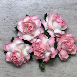 Cottage Roses - 2 Tone Salmon Pink/White 25mm (5pk)
