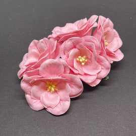 magnolias - Baby Pink