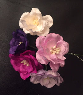 Magnolias - Mixed Purple/Lilac