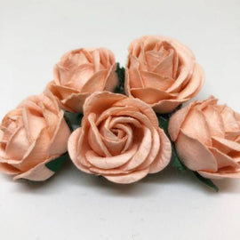 Chelsea Roses - Light Peach (5pk)