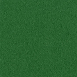 Bazzill Mono - 12x12 - Bazzill Green
