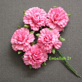 Carnations - Pink