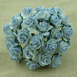 Open Roses - 2 Tone Antique Blue