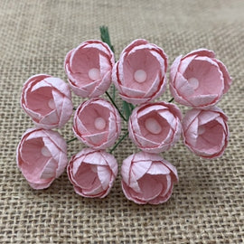 Buttercups - Pale Pink (10pk)