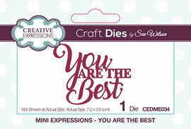 Creative Expressions Dies by Sue Wilson - Mini Expressions - You Are The Best
