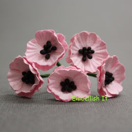 Poppies - Baby Pink