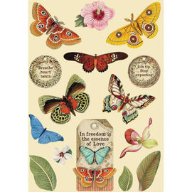 Stamperia - Amazonia - Coloured Wooden Shapes A5 - Butterfly