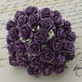 Open Roses - Purple