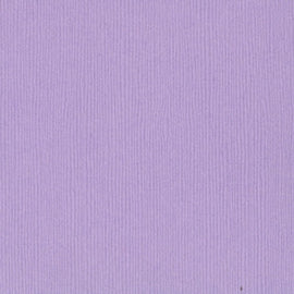 Bazzill Fourz - 12x12 - Purple Palisades