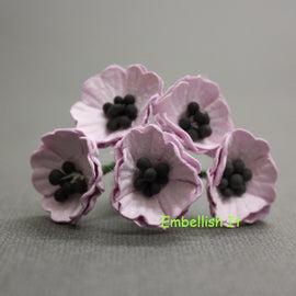 Poppies - Lilac