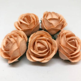 Chelsea Roses - Apricot (5pk)