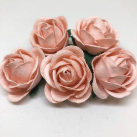 Chelsea Roses - Pale Peachy Pink (5pk)