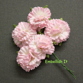 Carnations - 2 Tone Pink