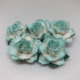 Cottage Roses - 2 Tone Light Turquoise 25mm (5pk)