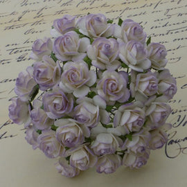 Open Roses - 2 Tone Pale Lilac