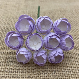 Buttercups - 2 Tone Lilac (10pk)