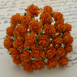 Open Roses - Orange