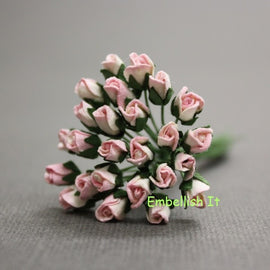 Rosebuds - 2 Tone Baby Pink