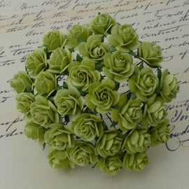 Open Roses - Lime Green