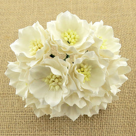 Lotus - White (5pk)