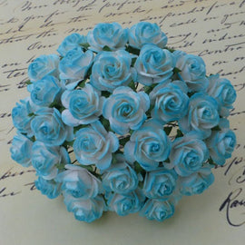 Open Roses - 2 Tone Light Turquoise