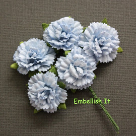Carnations - Baby Blue