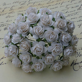 Open Roses - White