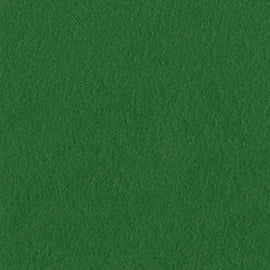 Bazzill Mono - 12x12 - Bazzill Green