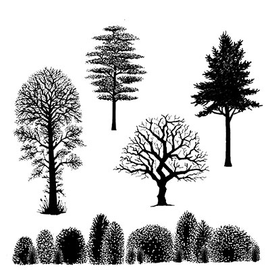 Lavinia Stamps - Tree Scene (LAV219)