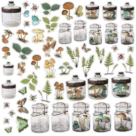 49 and Market - Vintage Artistry Nature Study - Acetate Specimen Shapes