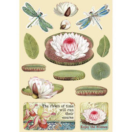 Stamperia - Amazonia - Coloured Wooden Shapes A5 - Water Lily