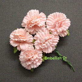 Carnations - Salmon Pink