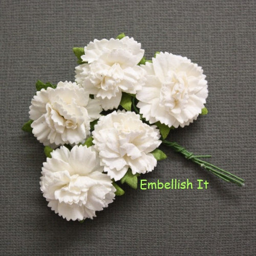 Carnations - White
