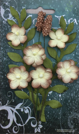 Green Tara Flowers - Primrose - Natural