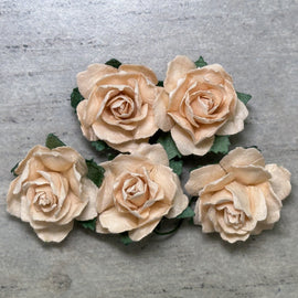 Cottage Roses - Apricot 25mm (5pk)