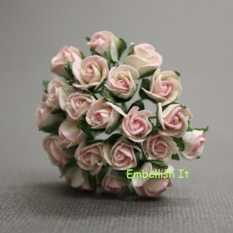 Rosebuds - 2 Tone Baby Pink