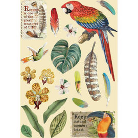 Stamperia - Amazonia - Coloured Wooden Shapes A5 - Parrot