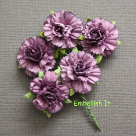 Carnations - Purple