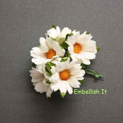 Chrysanthemums - Off White