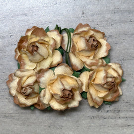 Cottage Roses - Chocolate Swirl 25mm (5pk)