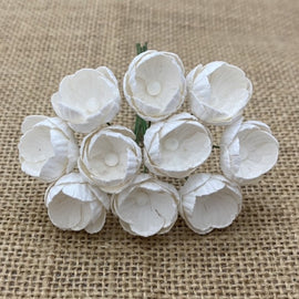 Buttercups - White (10pk)