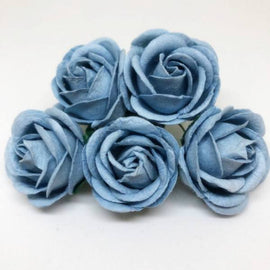 Chelsea Roses - Baby Blue (5pk)